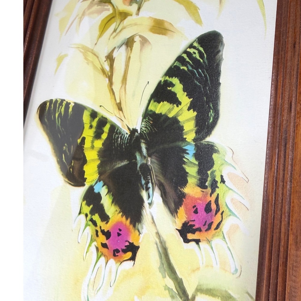 Vintage Butterfly Wall Art Framed Watercolor Style Nature Print Wood Frame - Picture 2 of 3
